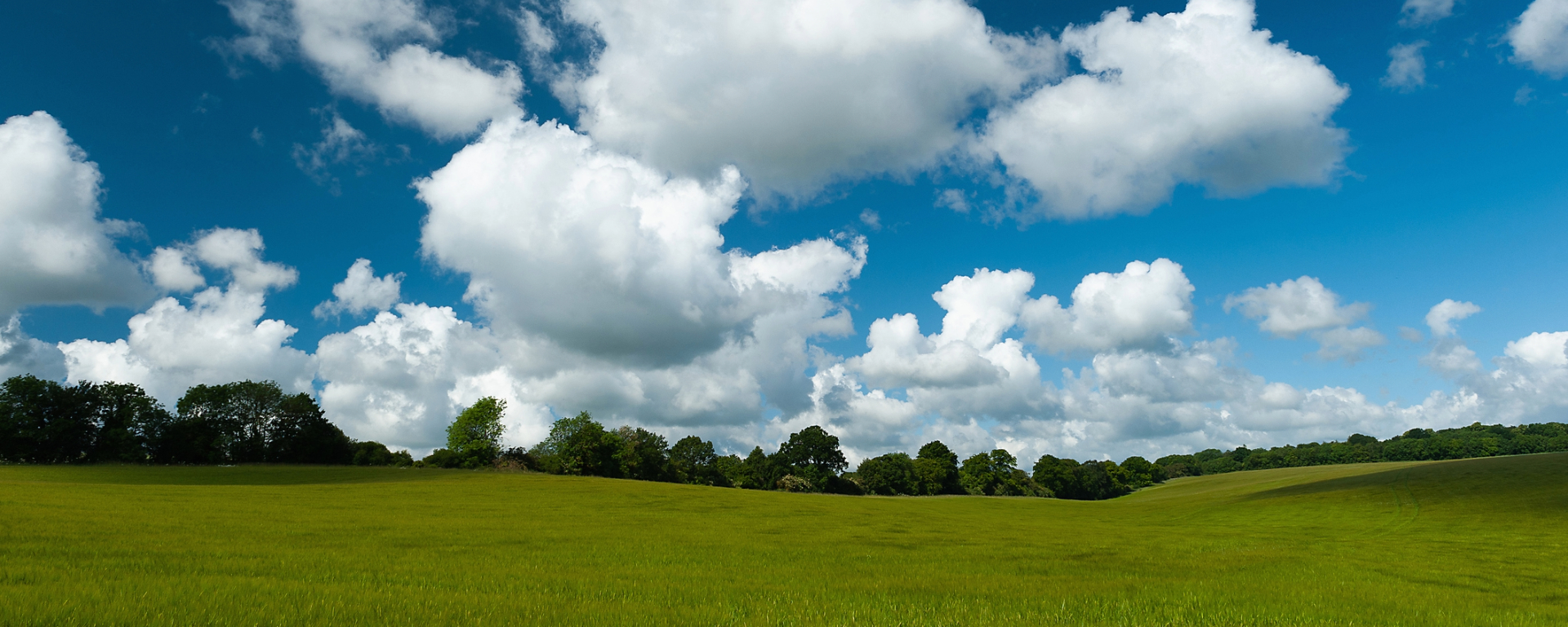 Cloud, field and blue-sky background