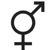gender-equality gender-equality