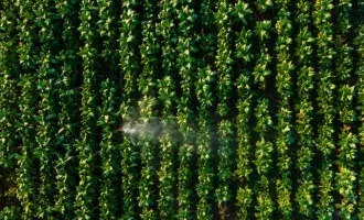 Uk-farmland-1289670873