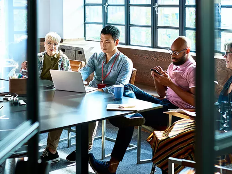 Local government planning services