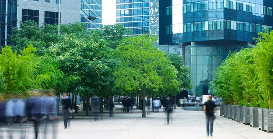 Public sector property decarbonisation: how to secure the funding you need 
