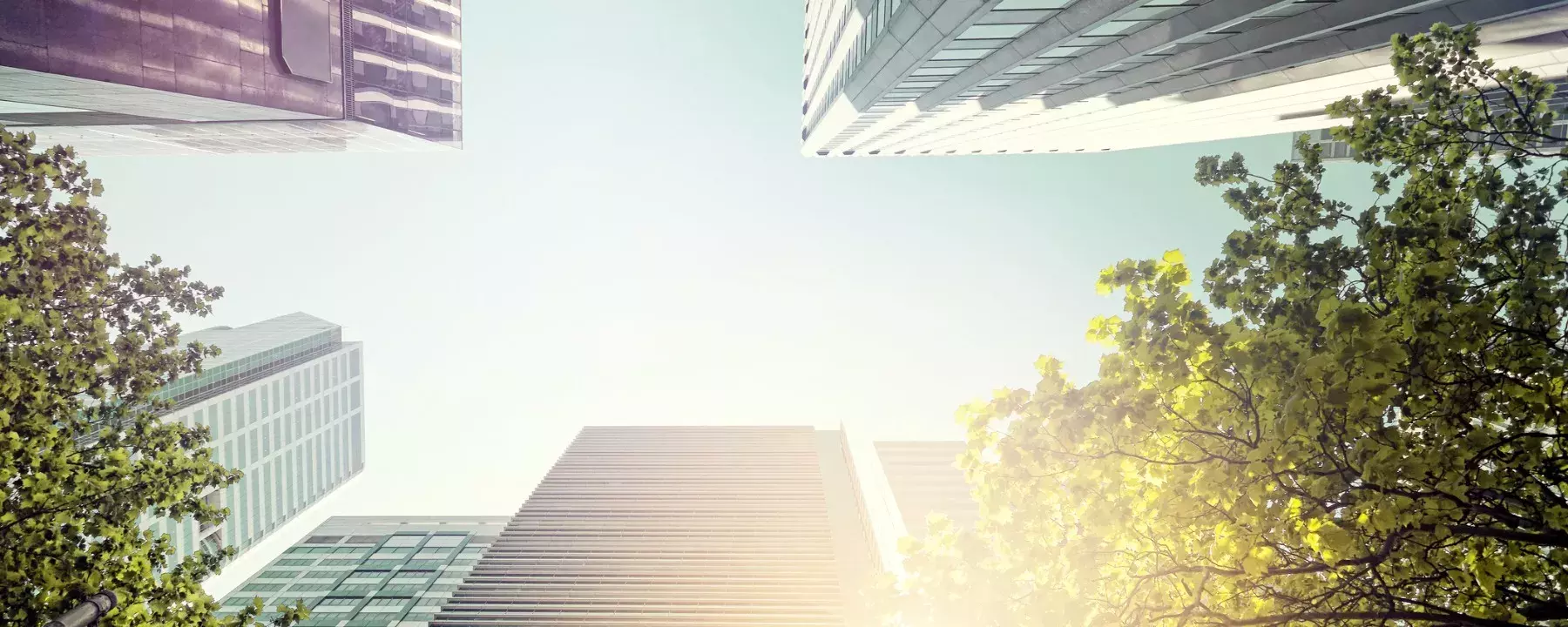 If you commit to being a purpose-led business, the work is never done 