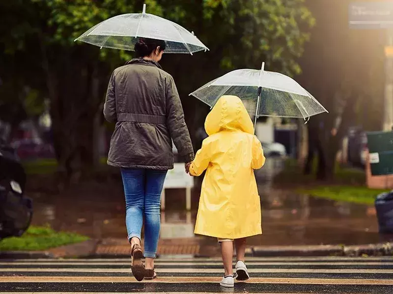 2 people walking with umbrellas